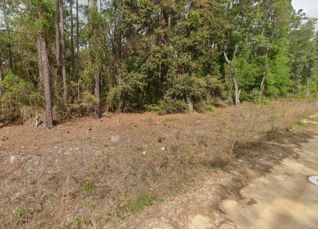 Property at 0000 Quail Hollow Rd, Satsuma, FL 32189