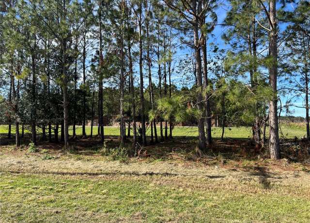 Property at 17609 Bledsoe Loop, Lithia, FL 33547