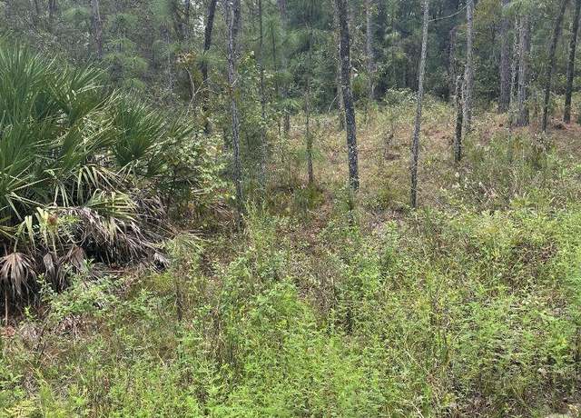 Property at Lot 7 SW 159th Ave, Ocala, FL 34481