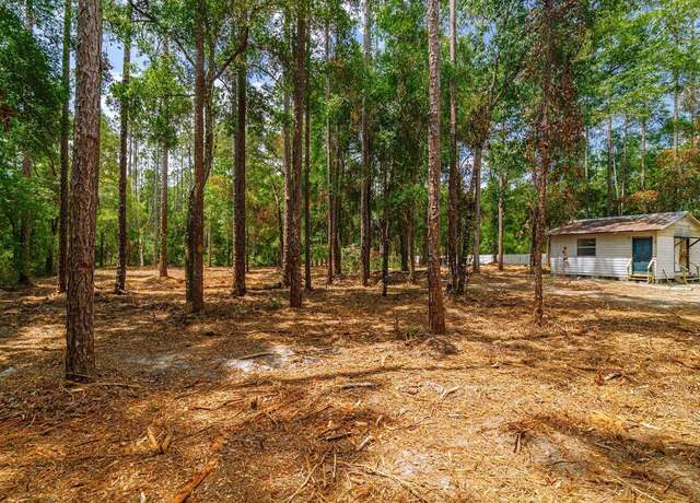 Property at 569 NE 356th Ave, Old Town, FL 32680