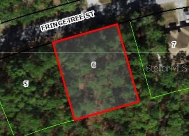 Property at 39 Fringetree St, Homosassa, FL 34446