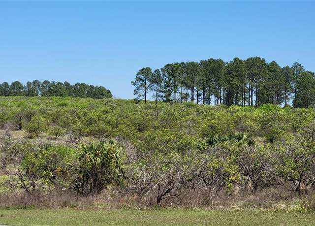 Property at 0 Thrill Hill Rd, Eustis, FL 32736