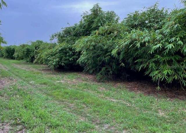 Property at Mineral Branch Rd, Zolfo Springs, FL 33890