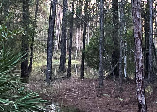 Property at TBD Royal Ave, Interlachen, FL 32148