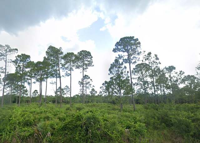 Property at 427 Hanscom St, Port Charlotte, FL 33953