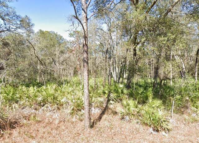 Property at Lot 17 Overcup Dr, Webster, FL 33597
