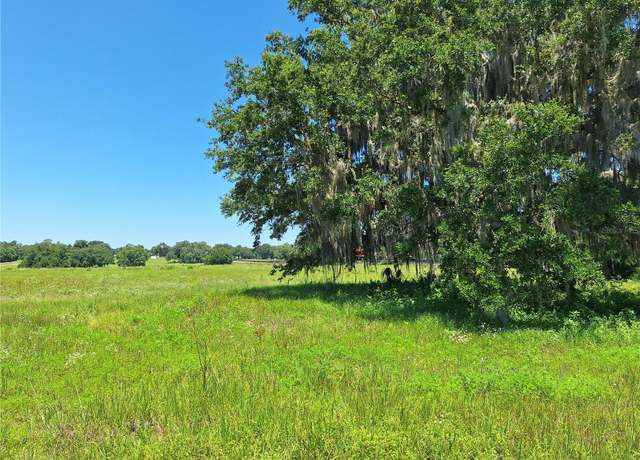 Property at NW 154th Ave. Rd. #12, Morriston, FL 32668