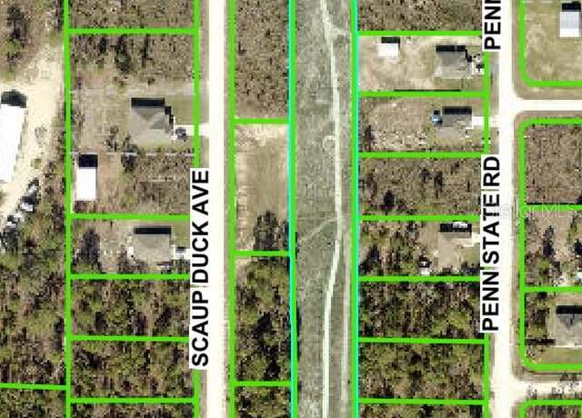 Property at Thrasher Power Lines Ave, Brooksville, FL 34614