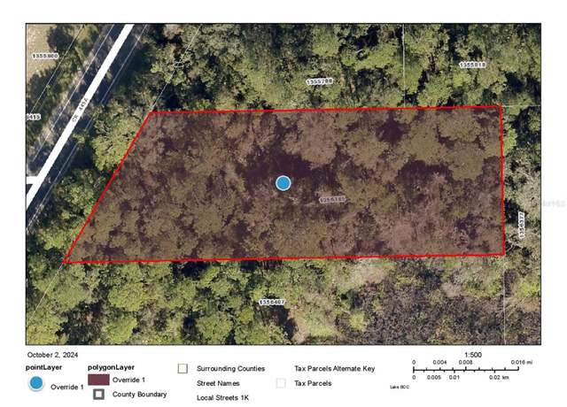 Property at County Road 445a, Astor, FL 32102