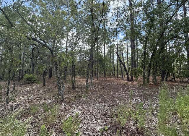 Property at NW Tree Top Rd, Dunnellon, FL 34431