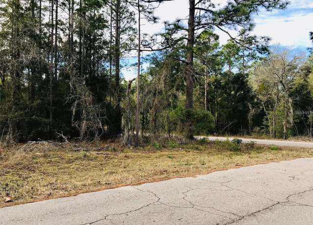 Property at TBD NE 15th St, Williston, FL 32696