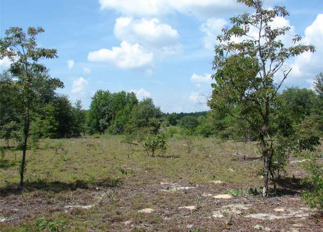 Property at 0 Chesser Monroe Rd, Hawthorne, FL 32640