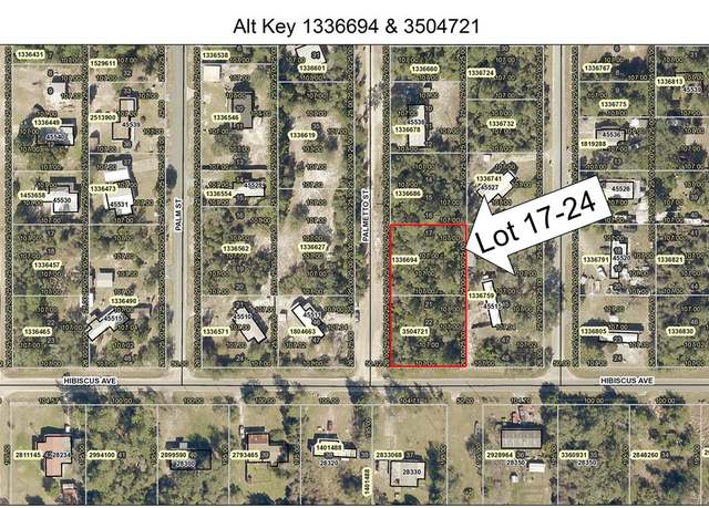 Property at Lot 17-24 Palmetto St, Paisley, FL 32767
