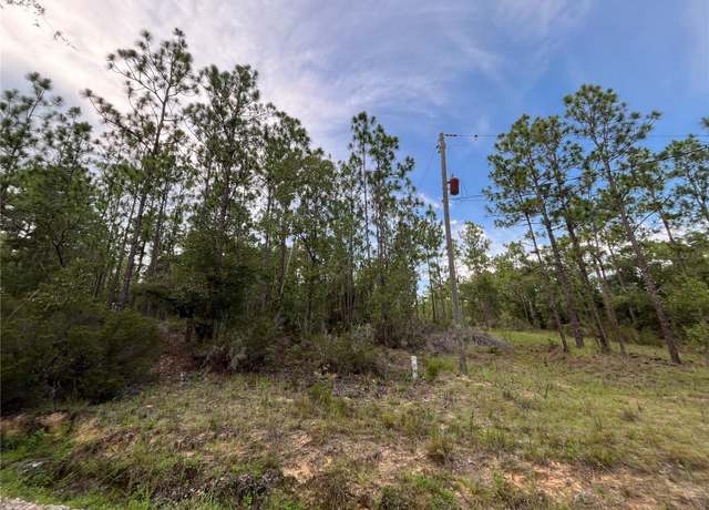 Property at 124 New York Ave, Interlachen, FL 32148