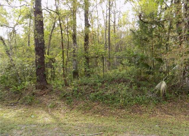 Property at 16126 Sunflower Trl, Orlando, FL 32828