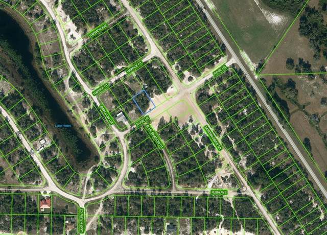 Property at 454 Hawick Ct, Lake Placid, FL 33852