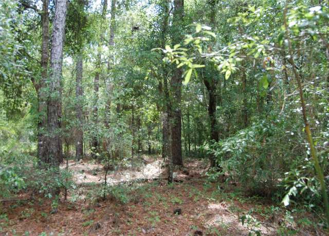 Property at SW 149th CT Rd, Ocala, FL 34481