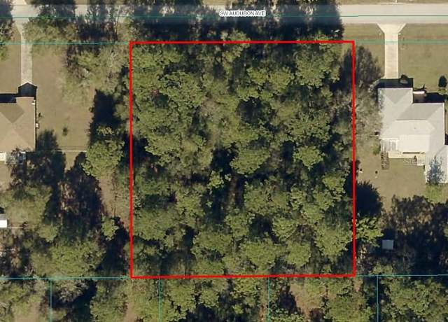 Property at Audubon, Dunnellon, FL 34431