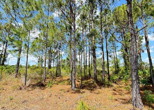 Property at 18121 NW 304th St, Okeechobee, FL 34972