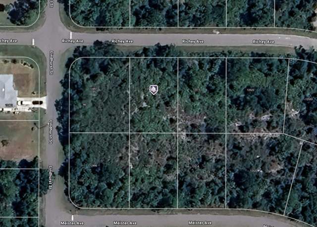 Property at 12507 Richey Ave, Port Charlotte, FL 33953
