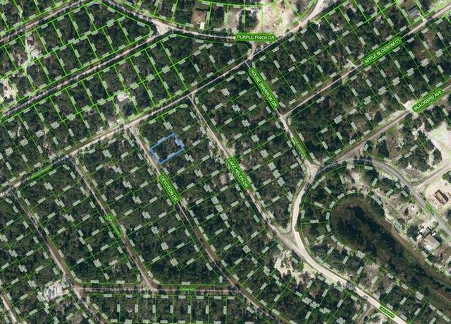 Property at 525 Devotion Dr, Lake Placid, FL 33852