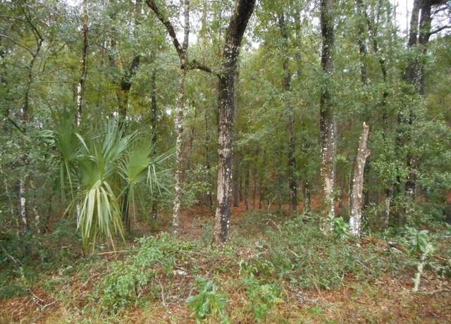 Property at Lot 6 SW 97th Pl, Dunnellon, FL 34431
