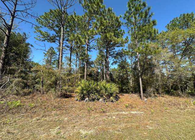 Property at 833 W Champlain Ln, Citrus Springs, FL 34434