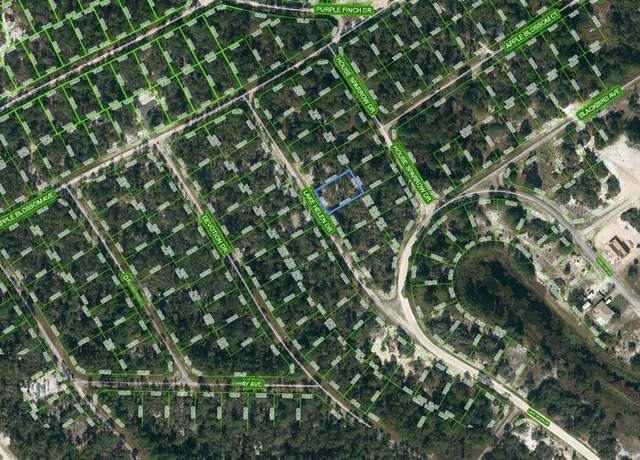 Property at 519 Lake Helen Dr, Lake Placid, FL 33852
