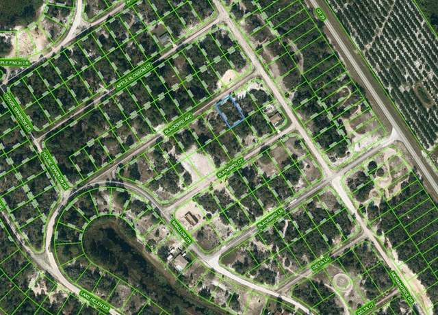 Property at 455 Blackbird Ave, Lake Placid, FL 33852