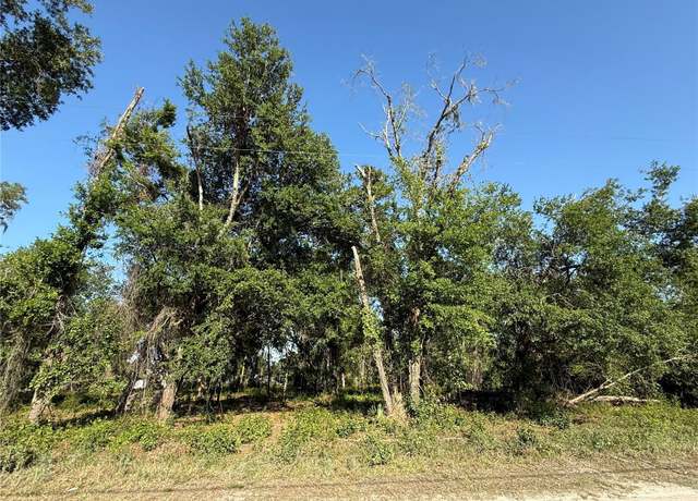 Property at null Owens Dr, Zephyrhills, FL 33540