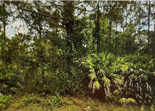 Property at Undisclosed address, Lehigh Acres, FL 33972