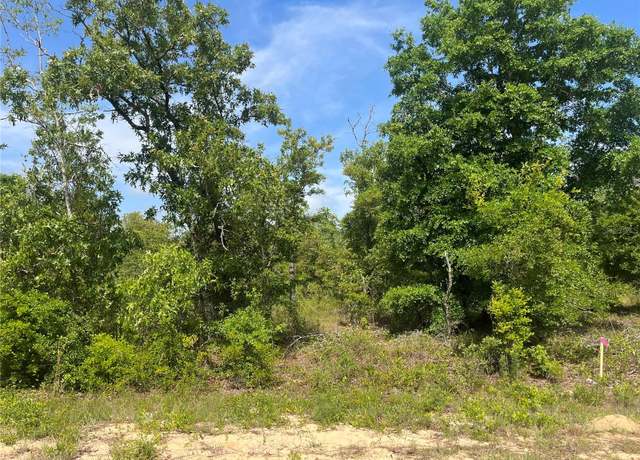 Property at Rome Ave, Alford, FL 32420