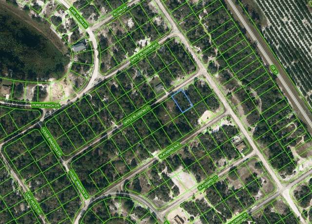 Property at 455 Apple Blossom Ct, Lake Placid, FL 33852