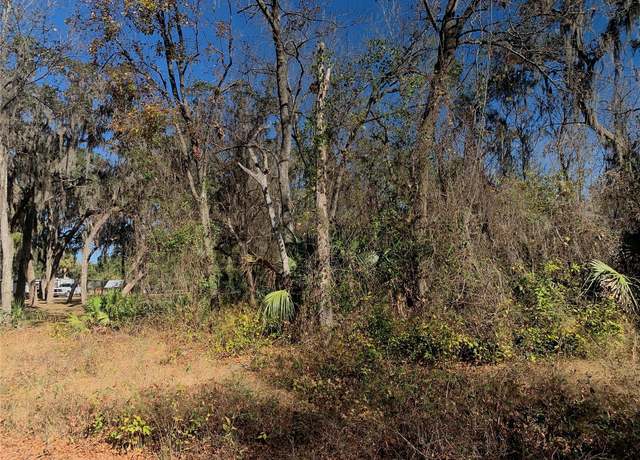 Property at 00 Faye St, Hawthorne, FL 32640