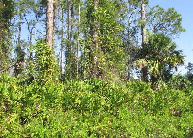 Property at Ginsburg Ter, North Port, FL 34287