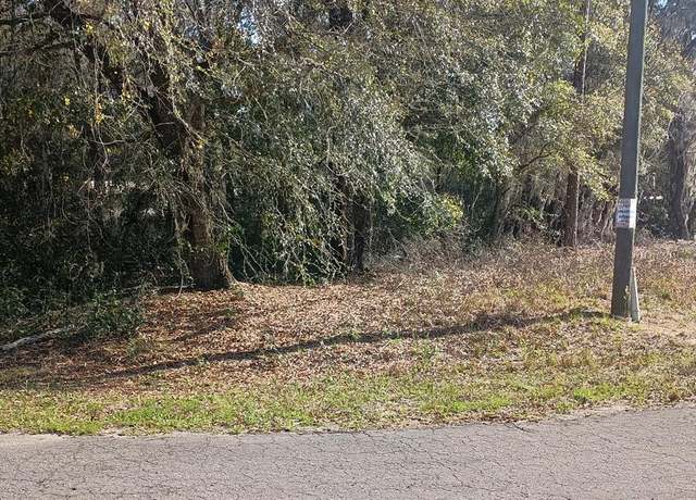 Property at 0 Guava Lane Trak Lot 1, Ocklawaha, FL 32179