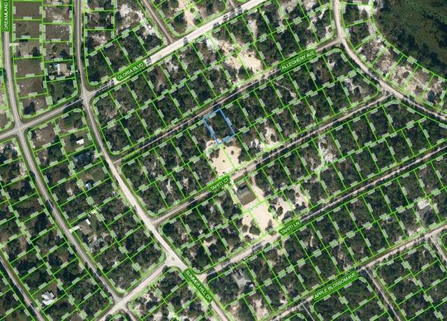 Property at 411 Allegheny Ave, Lake Placid, FL 33852