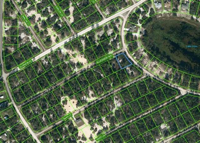 Property at 425 Allegheny Ave, Lake Placid, FL 33852