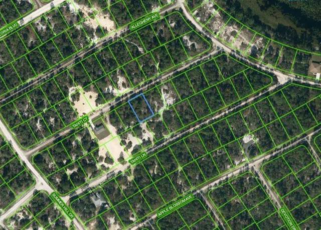 Property at 415 Tahiti Ct, Lake Placid, FL 33852