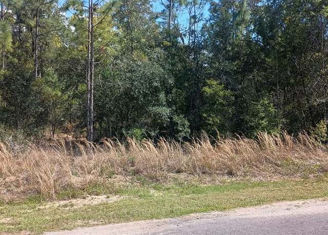 Property at 164 Guava Pass, Ocklawaha, FL 32179