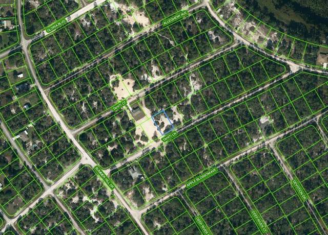 Property at 410 Tahiti Ln, Lake Placid, FL 33852