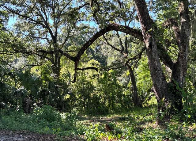 Property at 14155 NE 47th Ave, Anthony, FL 32617