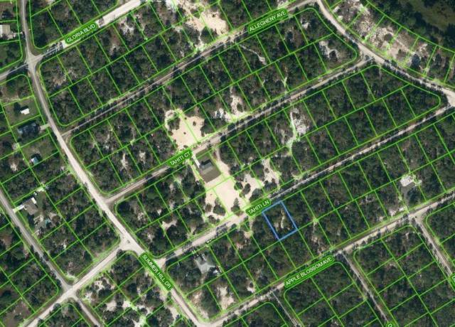 Property at 411 Tahiti Ln, Lake Placid, FL 33852