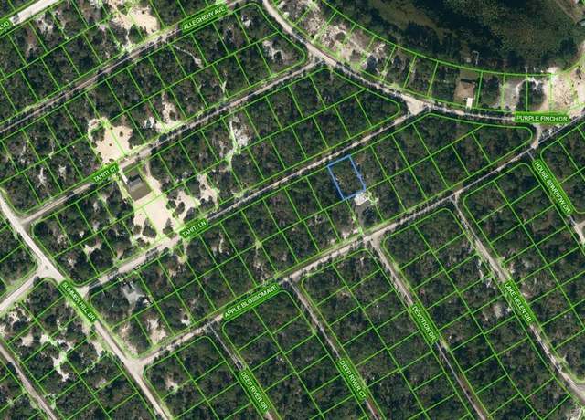 Property at 423 Tahiti Ln, Lake Placid, FL 33852