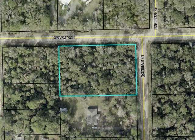Property at 6615 Walnut Ave, Bunnell, FL 32110
