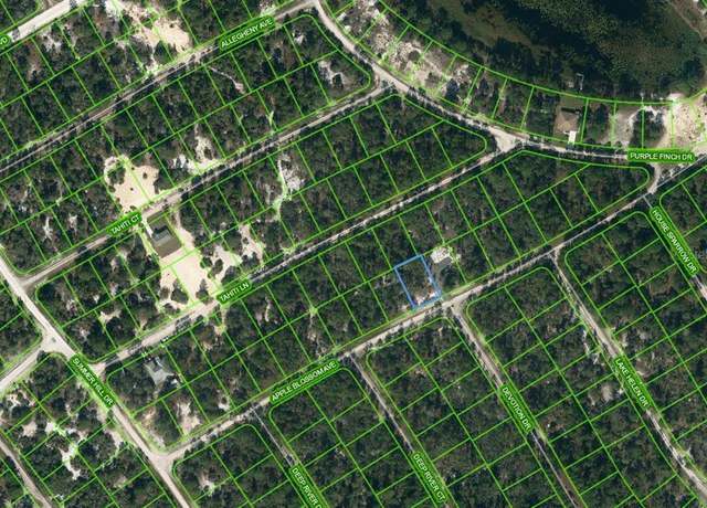 Property at 420 Apple Blossom Ct, Lake Placid, FL 33852