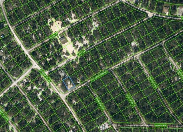 Property at 402 Apple Blossom Ct, Lake Placid, FL 33852