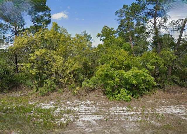 Property at 215 & 217 Treasurer Ave NE, Lake Placid, FL 33852