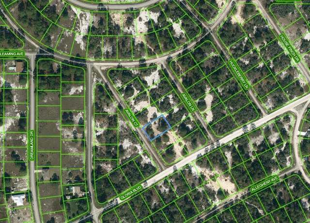 Property at 605 Avalon Ct, Lake Placid, FL 33852