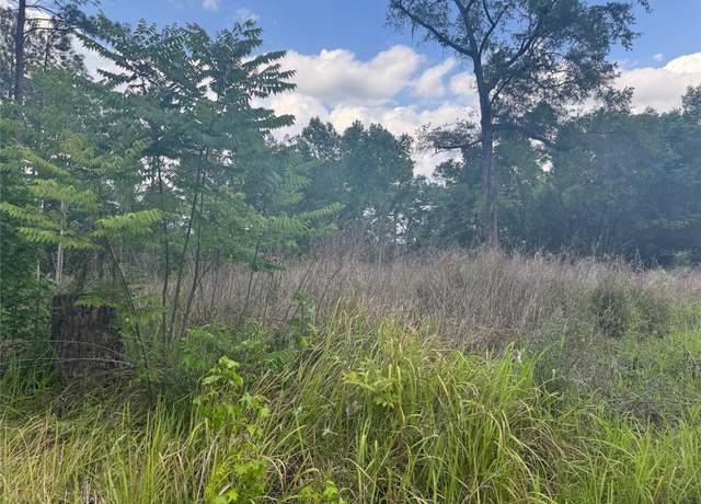 Property at 0 SE 37 Ct, Belleview, FL 34420